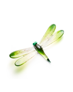 Dragonfly small and big accessoires